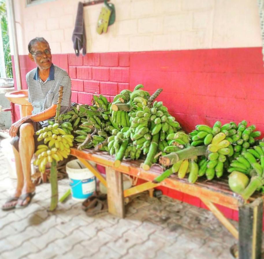 Cordel Farms Mangalore Exterior foto