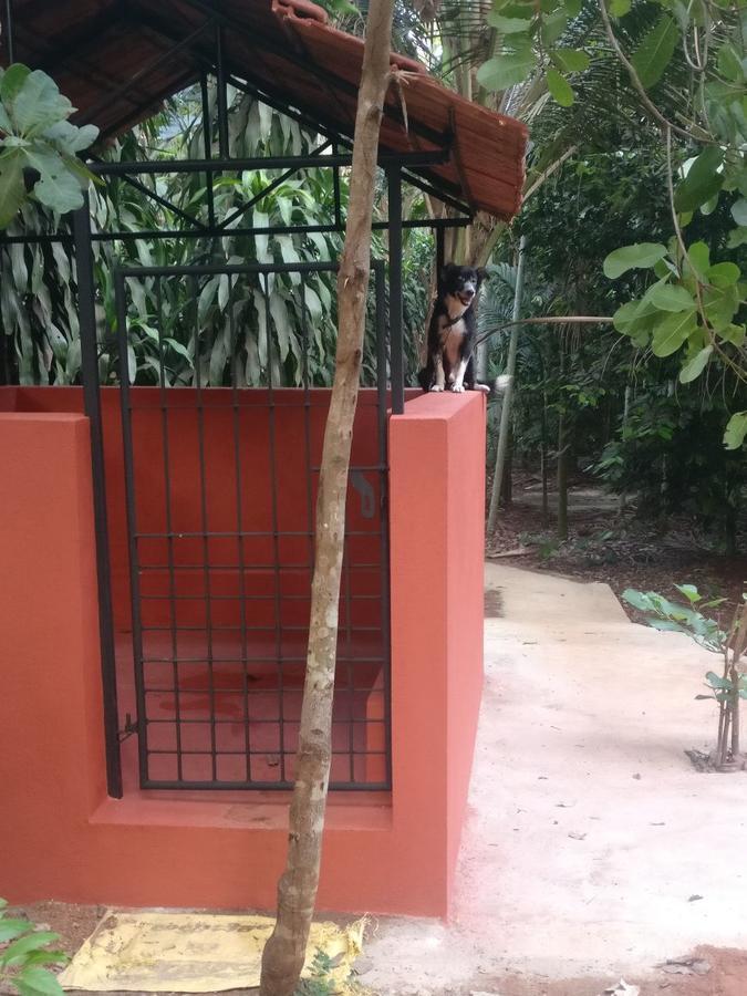Cordel Farms Mangalore Exterior foto
