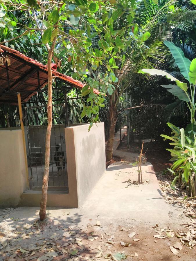 Cordel Farms Mangalore Exterior foto